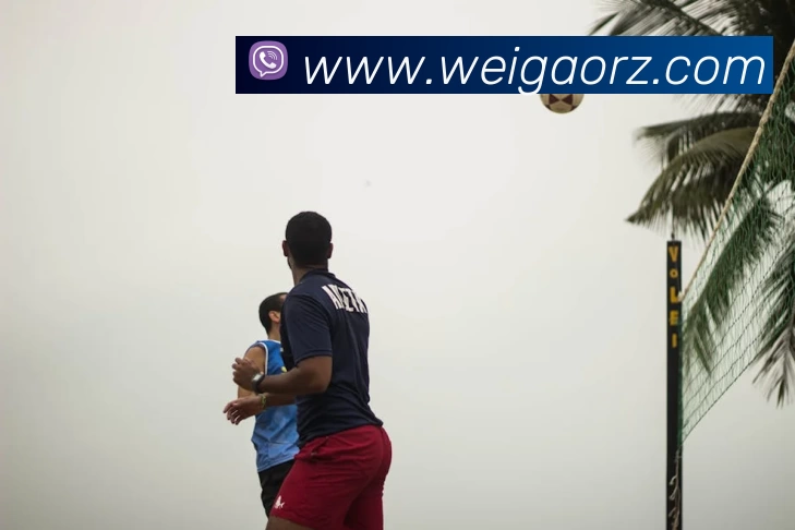 世界杯中国官网平台生态图